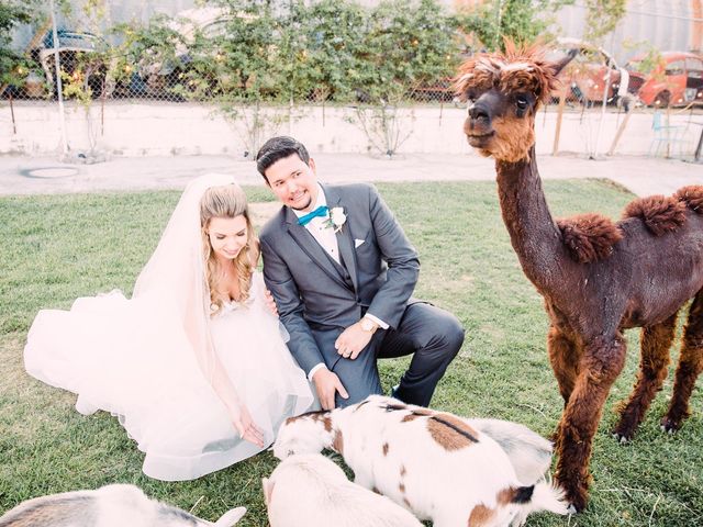 Aaron and Courtney&apos;s Wedding in Las Vegas, Nevada 23