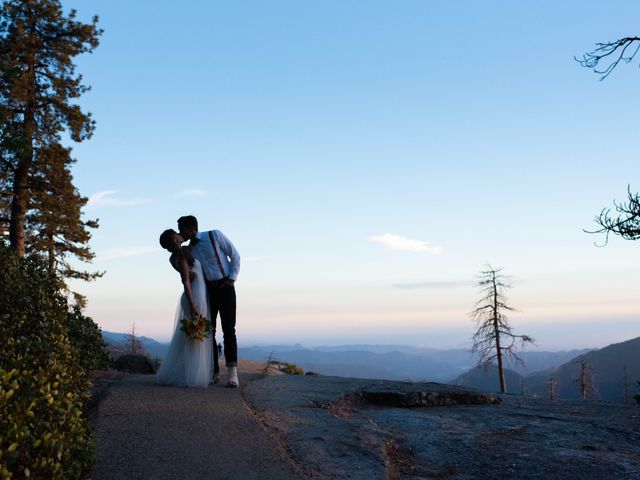 Wesley and Victoria&apos;s Wedding in Sequoia National Park, California 2