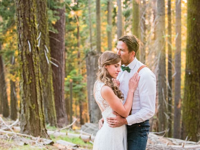 Wesley and Victoria&apos;s Wedding in Sequoia National Park, California 4