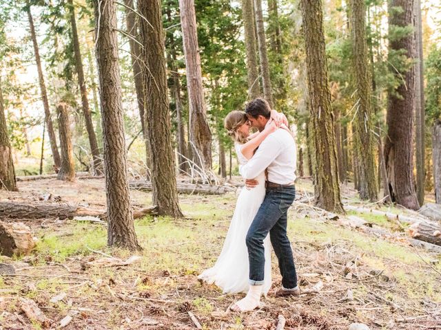 Wesley and Victoria&apos;s Wedding in Sequoia National Park, California 5