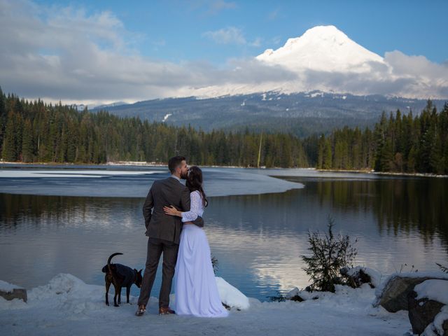 Michael and Sophia&apos;s Wedding in Government Camp, Oregon 9