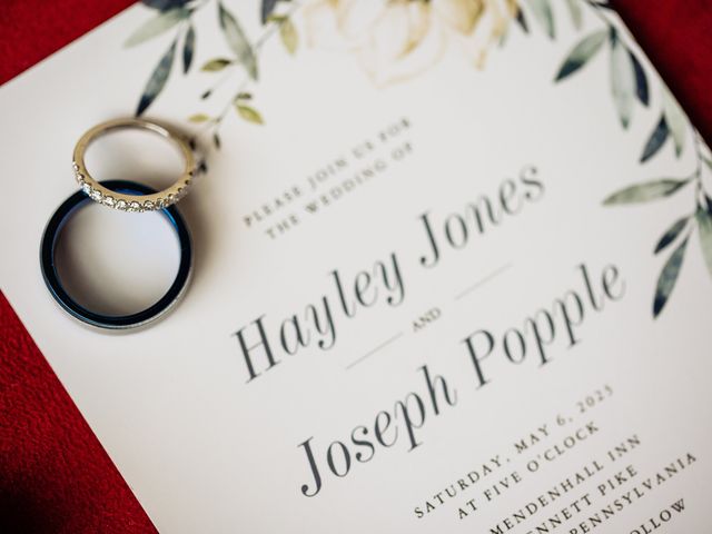 Hayley and Joseph&apos;s Wedding in Chadds Ford, Pennsylvania 2