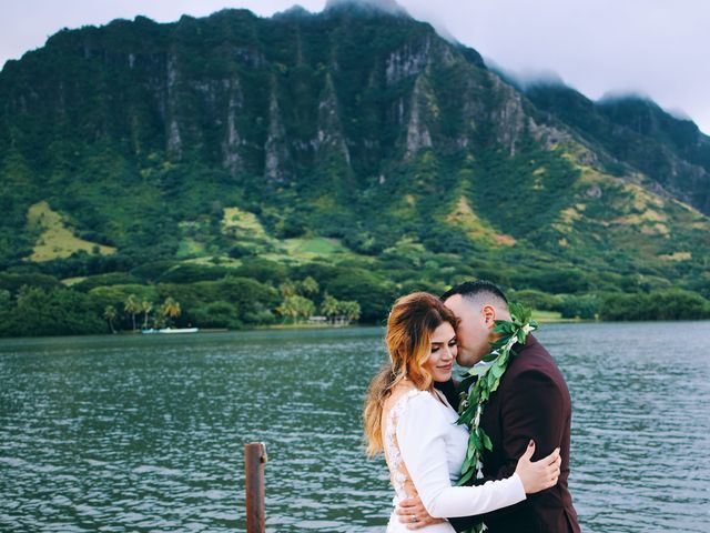 Bella and Larry&apos;s Wedding in Hawaii National Park, Hawaii 31