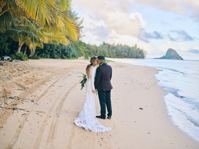 Bella and Larry&apos;s Wedding in Hawaii National Park, Hawaii 45