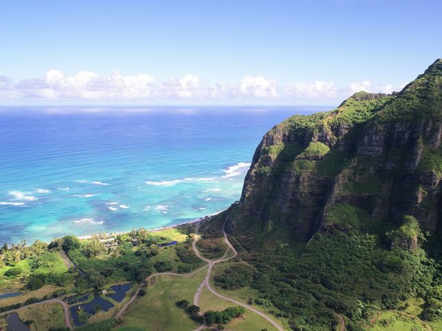 Bella and Larry&apos;s Wedding in Hawaii National Park, Hawaii 1