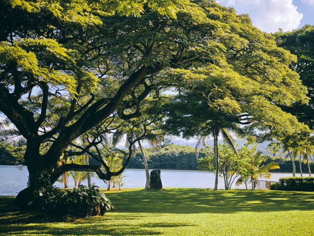 Bella and Larry&apos;s Wedding in Hawaii National Park, Hawaii 99