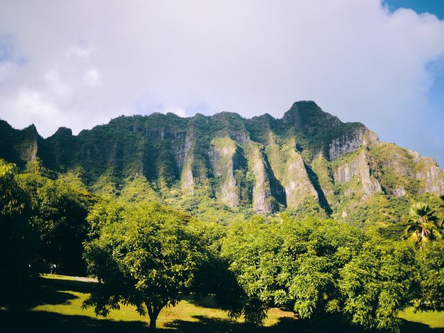 Bella and Larry&apos;s Wedding in Hawaii National Park, Hawaii 100