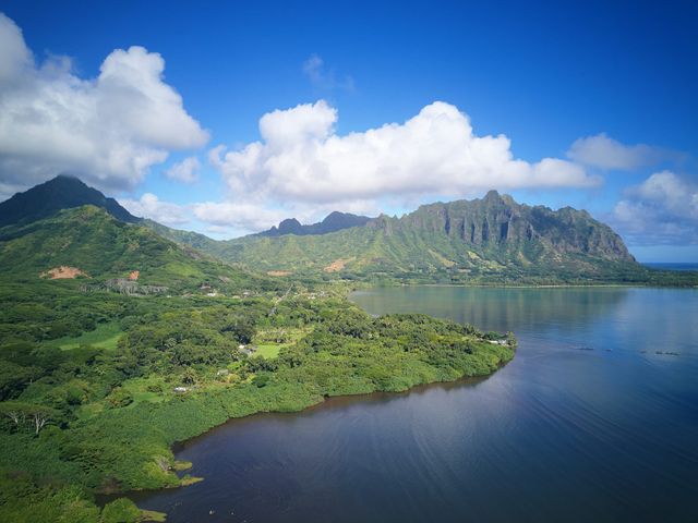 Bella and Larry&apos;s Wedding in Hawaii National Park, Hawaii 102