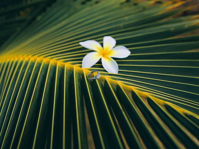 Bella and Larry&apos;s Wedding in Hawaii National Park, Hawaii 131