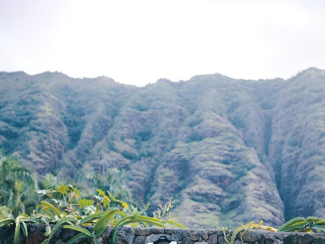 Bella and Larry&apos;s Wedding in Hawaii National Park, Hawaii 132