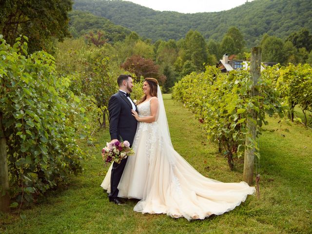 Jacob and Haley&apos;s Wedding in Sylva, North Carolina 84