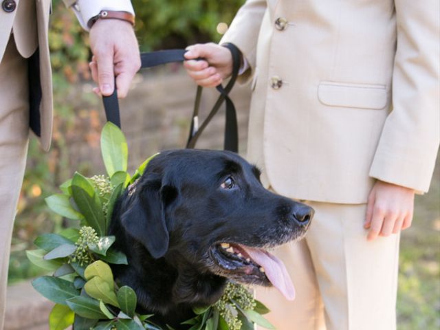 Tiffany and Chip&apos;s Wedding in Pilot Point, Texas 11