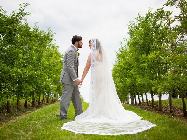 Ben and Megan&apos;s Wedding in Maple Park, Illinois 16