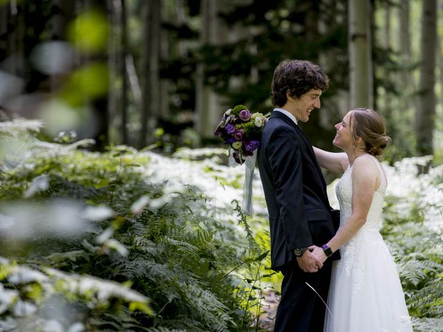 Andy Sullivan and Kristine Thompson&apos;s Wedding in Almont, Michigan 35