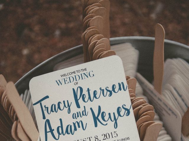 Tracy and Adam&apos;s Wedding in Grayslake, Illinois 13