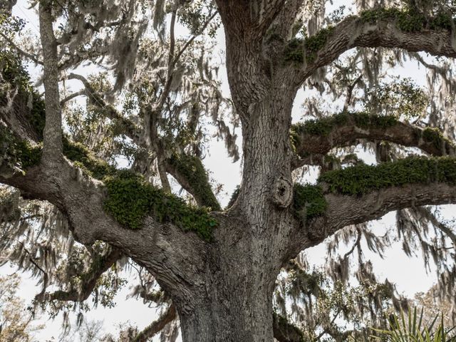 Caleb and Megan's Wedding in Wilmington, North Carolina 16