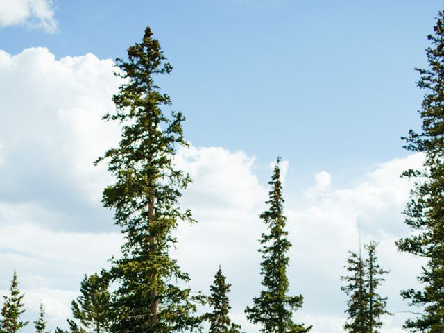 Katie and Kyle&apos;s Wedding in Ouray, Colorado 10