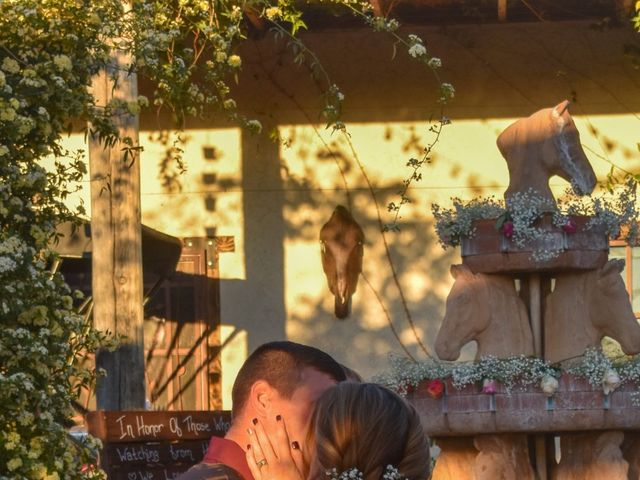Will and Megan&apos;s Wedding in Tucson, Arizona 5