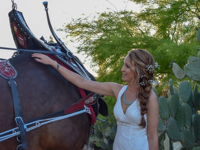 Will and Megan&apos;s Wedding in Tucson, Arizona 27