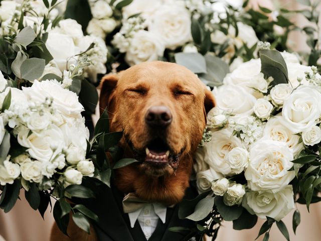Jacob and Karissa's Wedding in Mifflinburg, Pennsylvania 7