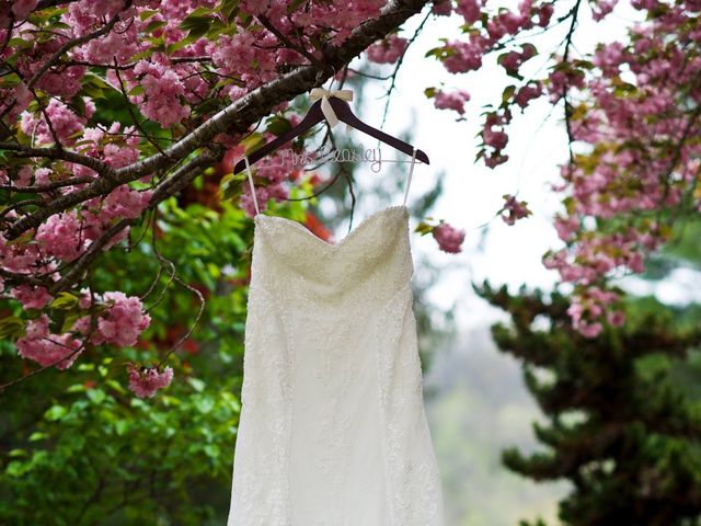 Cory and Brianna&apos;s Wedding in Lake Lure, North Carolina 14