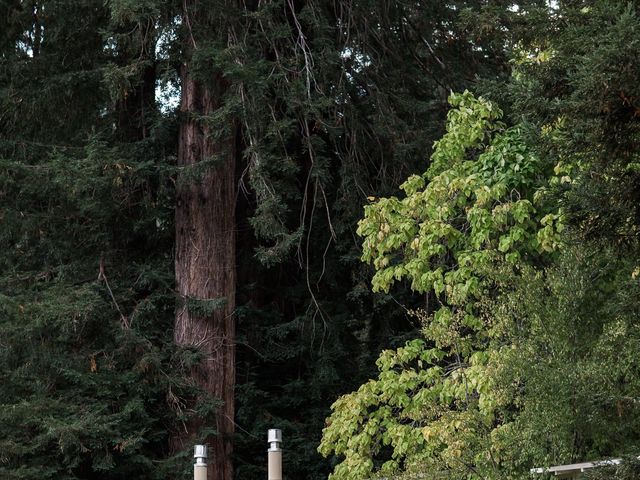 Toby and Brittany&apos;s Wedding in Guerneville, California 81