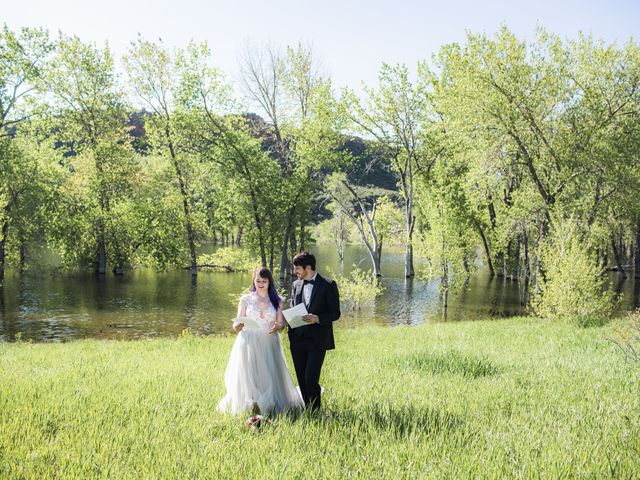Aaron and Cecily&apos;s Wedding in Fort Collins, Colorado 10