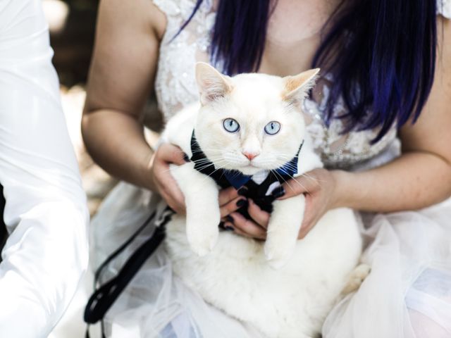 Aaron and Cecily&apos;s Wedding in Fort Collins, Colorado 14