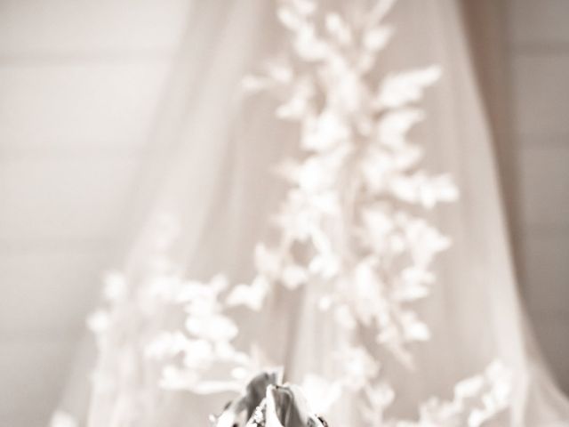 Mollie and Justin's Wedding in Romeo, Michigan 3