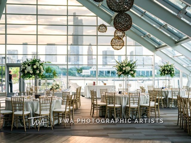 Arjun Tanguturi and Fabiola Villalpando's Wedding in Chicago, Illinois 48