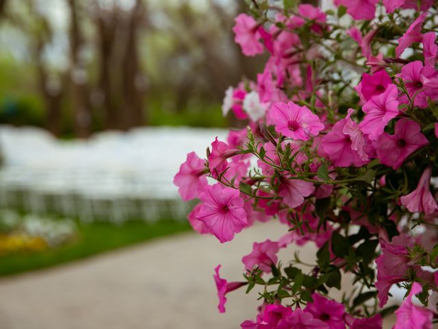 Elizabeth and Shammah&apos;s Wedding in Edgerton, Kansas 257