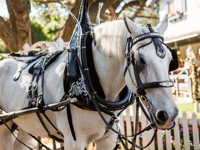 Jessica and Wayne's Wedding in San Diego, California 50