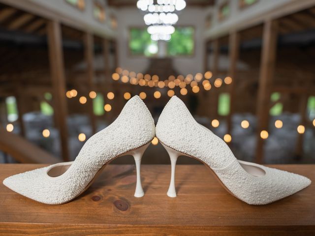 Joshua and Maya's Wedding in North Branch, Michigan 1