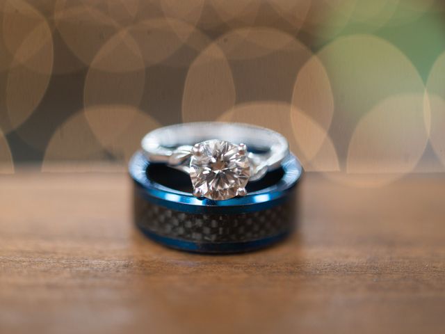 Joshua and Maya's Wedding in North Branch, Michigan 5