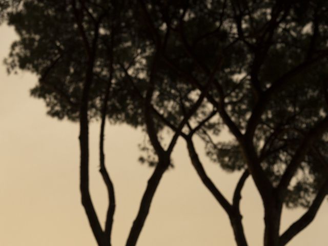 SERENE and DANIEL's Wedding in Rome, Italy 80