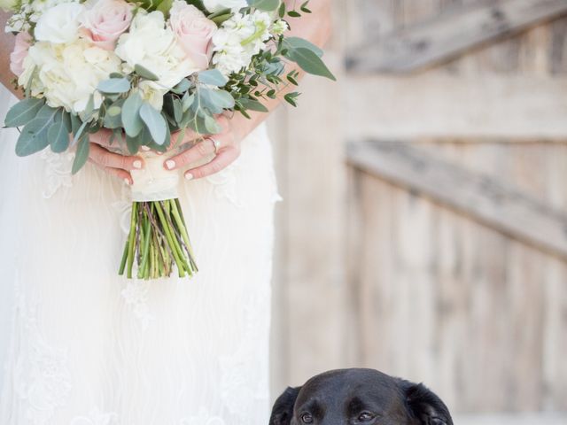 James and Aly&apos;s Wedding in New Smyrna Beach, Florida 8