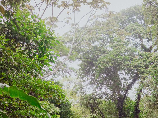 Zach and Lindsey&apos;s Wedding in La Fortuna de San Carlos, Costa Rica 44