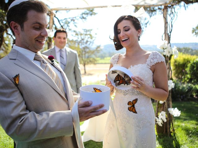 Marina and Gabriel&apos;s Wedding in Glen Ellen, California 8
