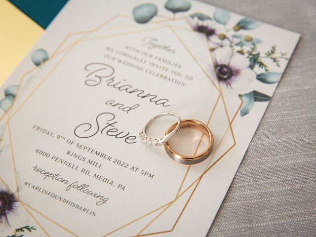 Steve and Brianna's Wedding in Media, Pennsylvania 1