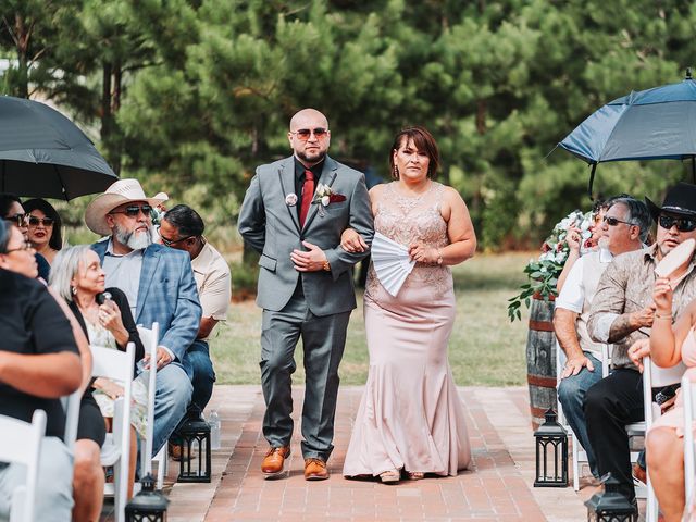 Robert and Jessica&apos;s Wedding in Conroe, Texas 16