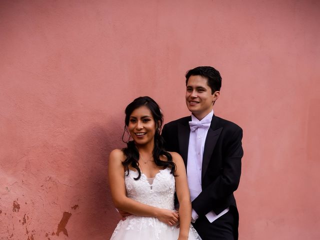 Daniel and Erika&apos;s Wedding in San Miguel de Allende, Mexico 17