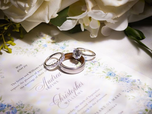 Christopher and Andrea's Wedding in Northville, Michigan 8