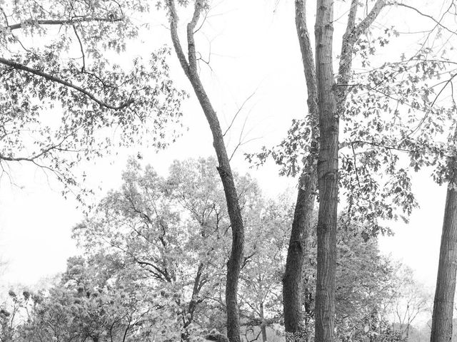 Tyler and Amanda's Wedding in Shelby Charter Township, Michigan 72