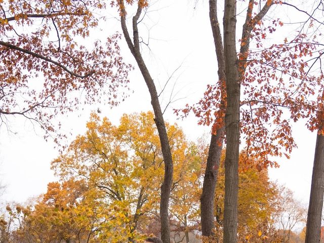 Tyler and Amanda's Wedding in Shelby Charter Township, Michigan 78