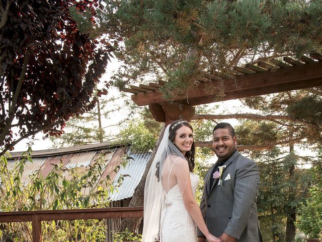 Dante and Danielle&apos;s Wedding in Sebastopol, California 34
