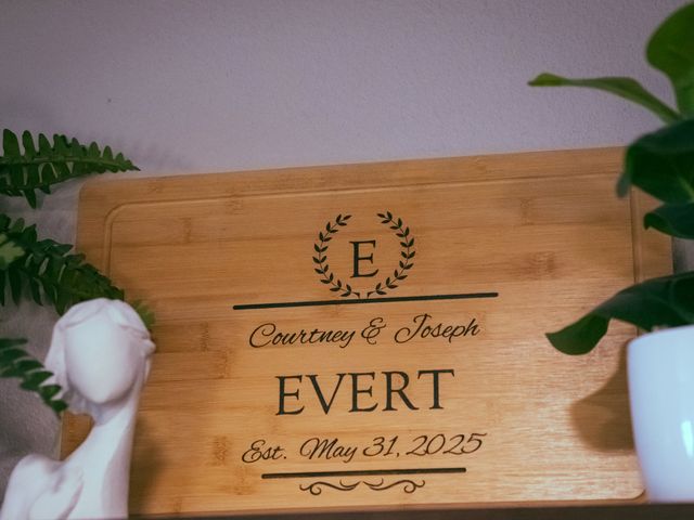 Courtney and Joe's Wedding in Eagan, Minnesota 4