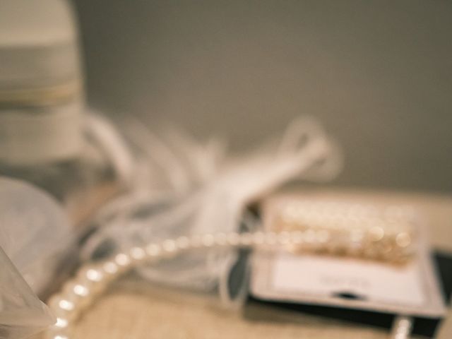 Courtney and Joe's Wedding in Eagan, Minnesota 8