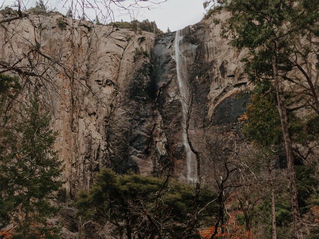 Sho and Abhi&apos;s Wedding in Yosemite National Park, California 17