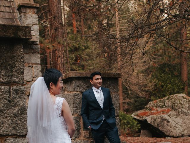 Sho and Abhi&apos;s Wedding in Yosemite National Park, California 24