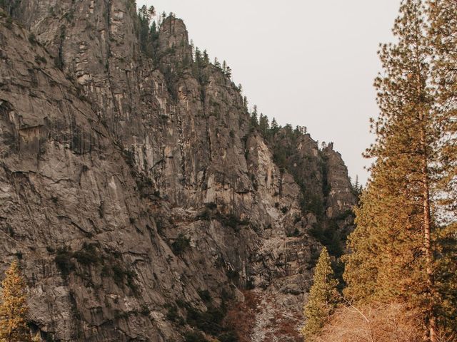 Sho and Abhi&apos;s Wedding in Yosemite National Park, California 2